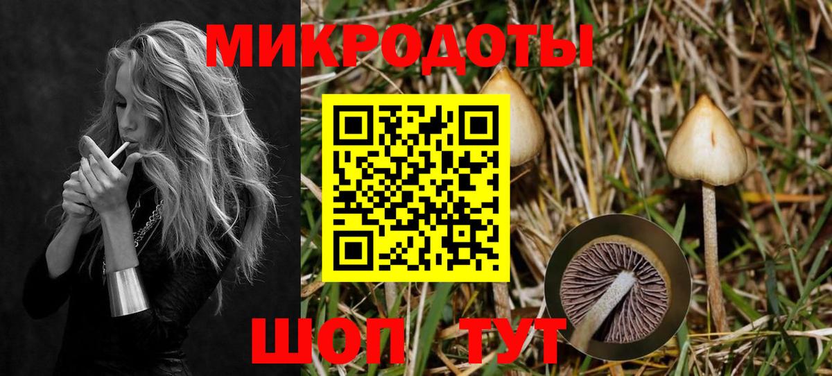 Галлюциногенные грибы Magic Shrooms Хабаровск