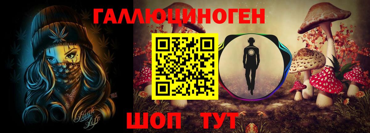 где продают   Вход с VPN  Псилоцибиновые грибы прущие грибы  Хабаровск  Галлюциногенные грибы GOLDEN TEACHER 